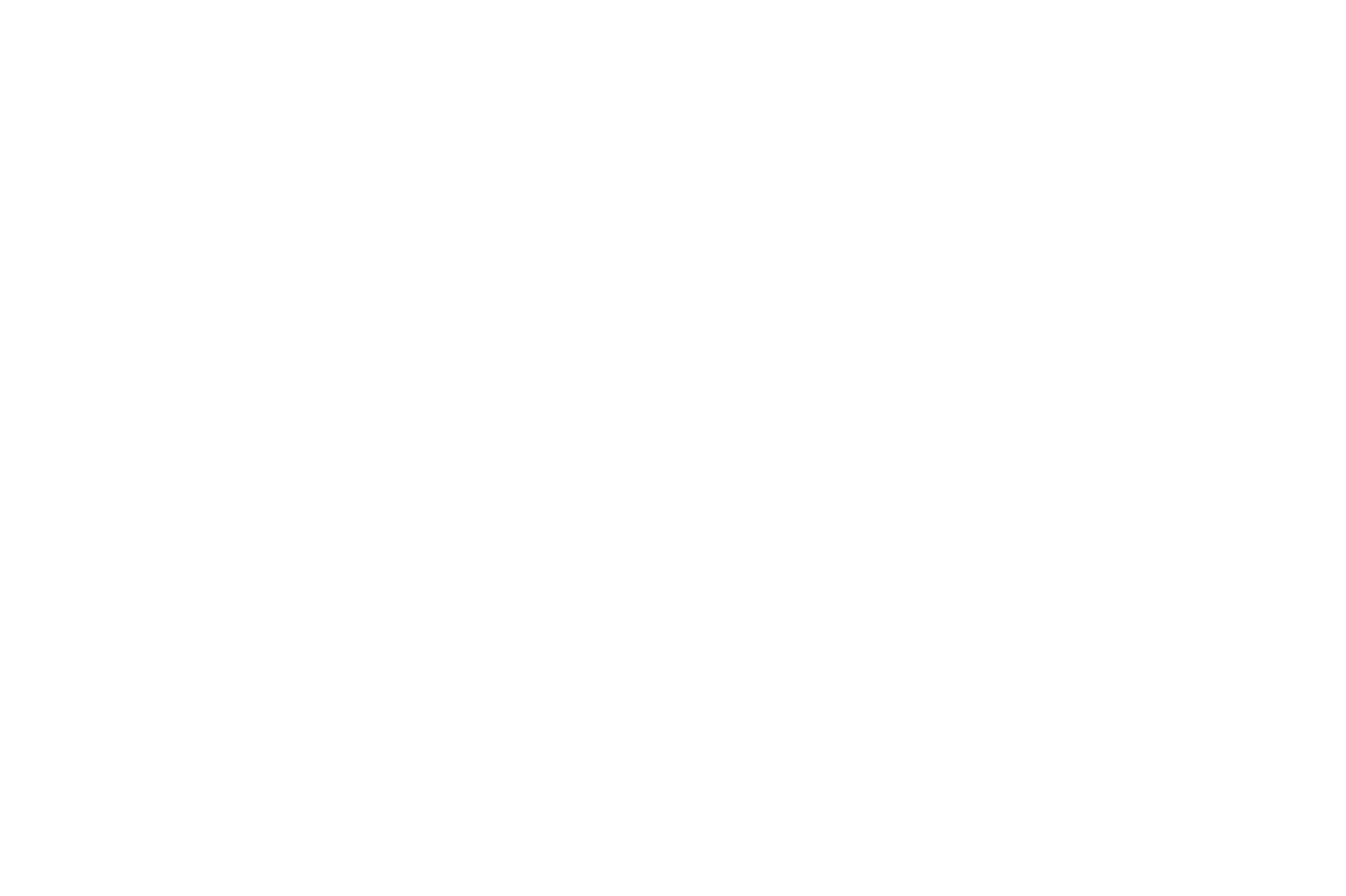 BraveBrand logo