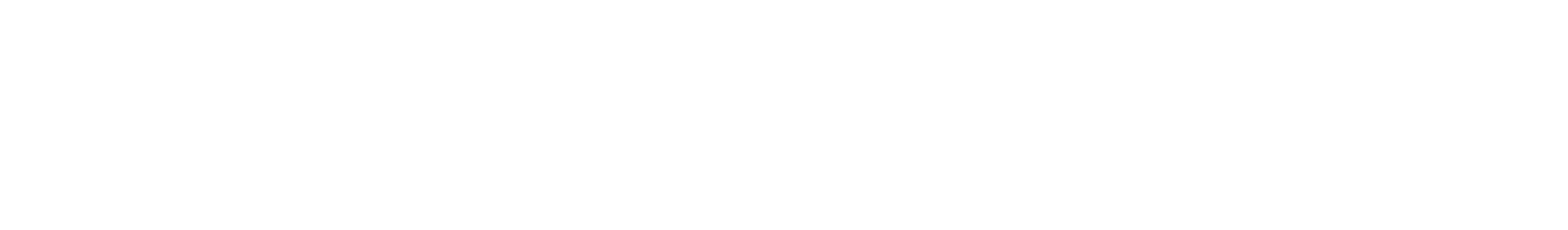 BraveBrand wordmark